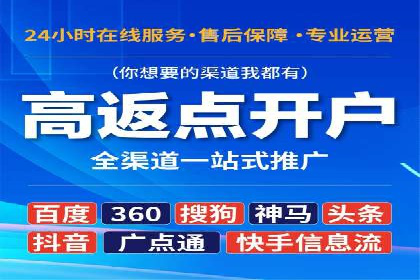 SEM代运营经典案例解析与启示